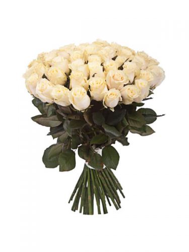 Заказать 41 кремовую розу с доставкой по Комсомольску-на-Амуре